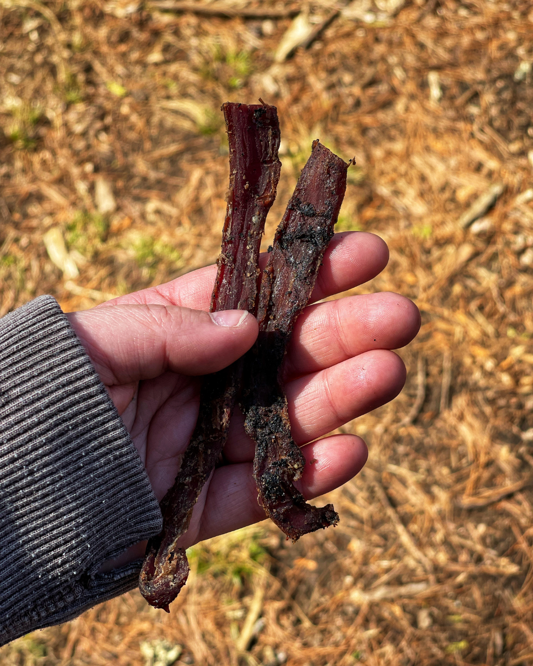 LUNCH IN THE WOODS